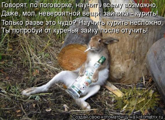 Котоматрица: Говорят, по поговорке, научить всему возможно, Даже, мол, невероятной вещи: зайчика - курить! Только разве это чудо? Научить курить несложно, 