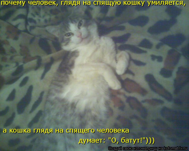 почему человек, глядя на спящую кошку умиляется, а кошка глядя на спящего человека думает: "О, батут!... Котоматрица: почему человек, глядя на спящую кошку умиляется, а кошка глядя на спящего человека думает: "О, батут!")))