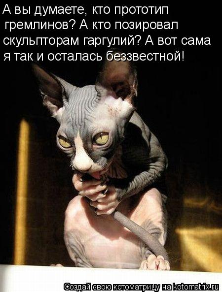 Котоматрица: А вы думаете, кто прототип гремлинов? А кто позировал скульпторам гаргулий? А вот сама я так и осталась беззвестной!