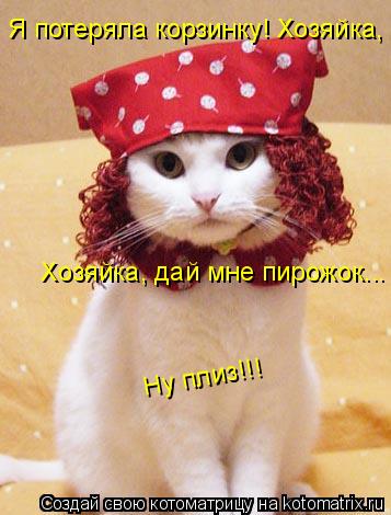 Котоматрица: Я потеряла корзинку! Хозяйка, дай мне пирожок с колбасой! Ну плиз!!!   Хозяйка, дай мне пирожок... с колбасой! Ну плиз!!!   Ну плиз!!!
