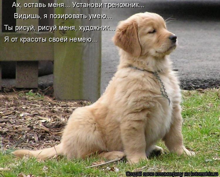 Ах, оставь меня... Установи треножник... Видишь, я позировать умею... Ты рисуй, рисуй меня, художни... Котоматрица: Ах, оставь меня... Установи треножник... Видишь, я позировать умею... Ты рисуй, рисуй меня, художник... Я от красоты своей немею...