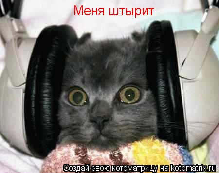 Меня штырит... Котоматрица: Меня штырит