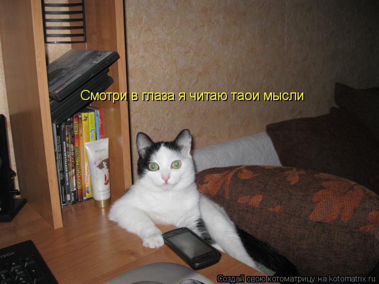 Смотри в глаза я читаю таои мысли... Котоматрица: Смотри в глаза я читаю таои мысли