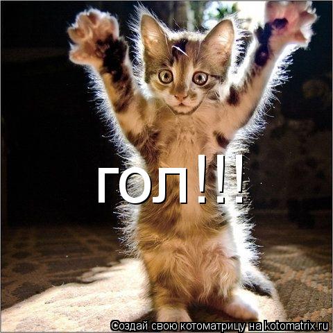 гол!!!... Котоматрица: гол!!!