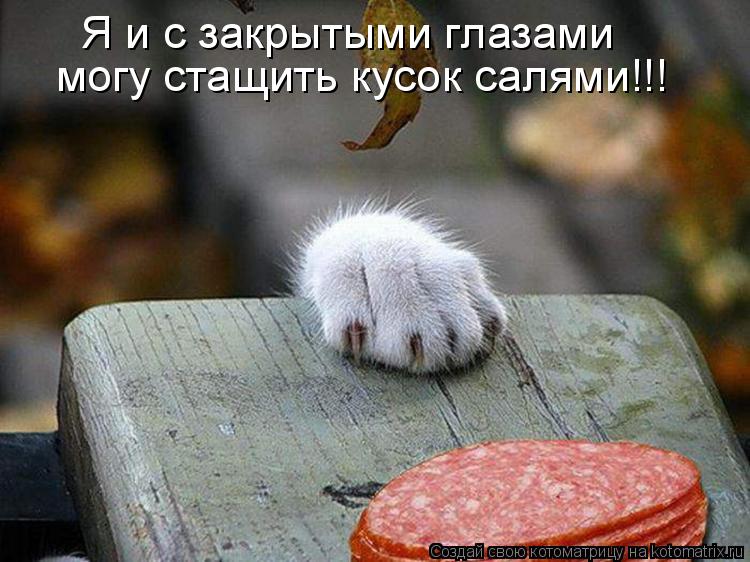 Я и с закрытыми глазами могу стащить кусок салями!!!... Котоматрица: Я и с закрытыми глазами могу стащить кусок салями!!!