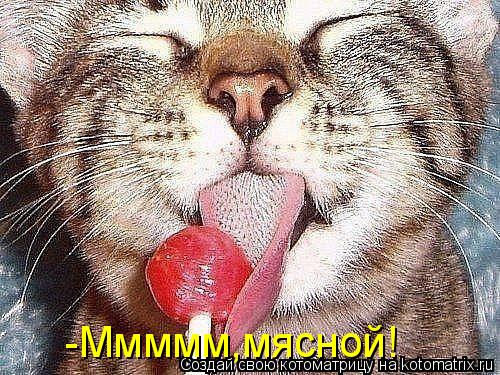 -Ммммм,мясной!... Котоматрица: -Ммммм,мясной!