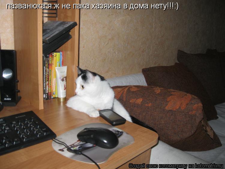 пазванюка я жєне пака хазяина в дома нету!!!:)... Котоматрица: пазванюка я жєне пака хазяина в дома нету!!!:)