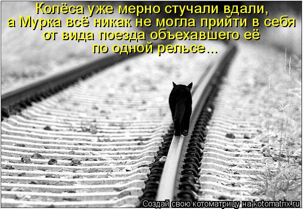Колёса уже мерно стучали вдали, а Мурка всё никак не могла прийти в себя от вида поезда объехавшего е... Котоматрица: Колёса уже мерно стучали вдали, а Мурка всё никак не могла прийти в себя от вида поезда объехавшего её по одной рельсе...