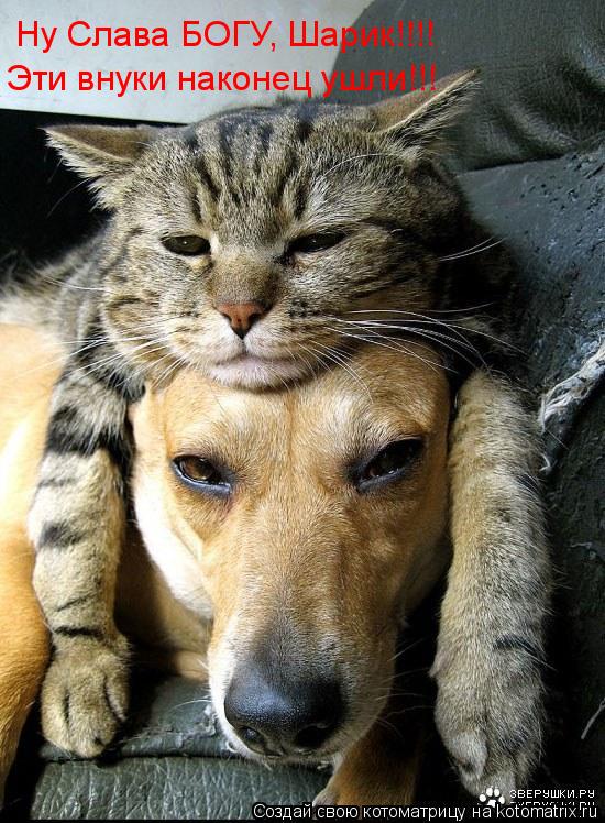Ну Слава БОГУ, Шарик!!!! Эти внуки наконец ушли!!!... Котоматрица: Ну Слава БОГУ, Шарик!!!! Эти внуки наконец ушли!!!