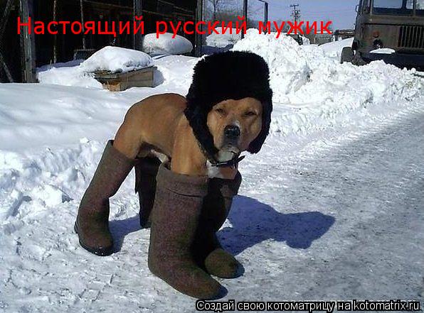 Настоящий русский мужик... Котоматрица: Настоящий русский мужик