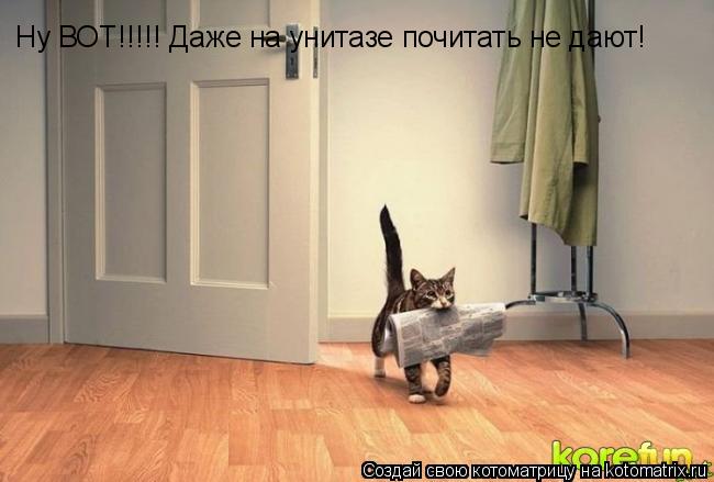 Ну ВОТ!!!!! Даже на унитазе почитать не дают!... Котоматрица: Ну ВОТ!!!!! Даже на унитазе почитать не дают!