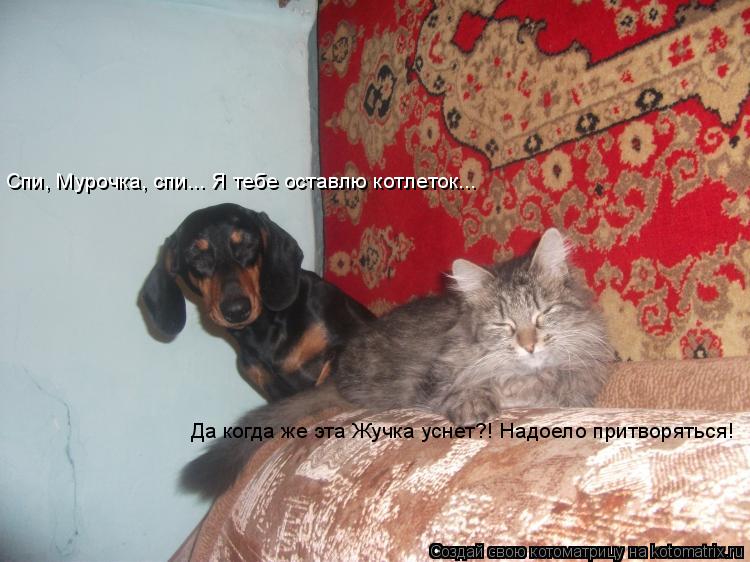 Спи, Мурочка, спи... Я тебе оставлю котлеток... Да когда же эта Жучка уснет?! Надоело притворяться!... Котоматрица: Спи, Мурочка, спи... Я тебе оставлю котлеток... Да когда же эта Жучка уснет?! Надоело притворяться!
