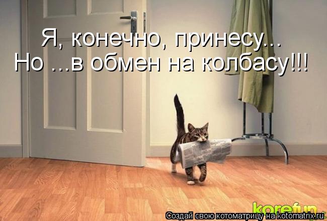 Я, конечно, принесу... Но ...в обмен на колбасу!!!... Котоматрица: Я, конечно, принесу... Но ...в обмен на колбасу!!!