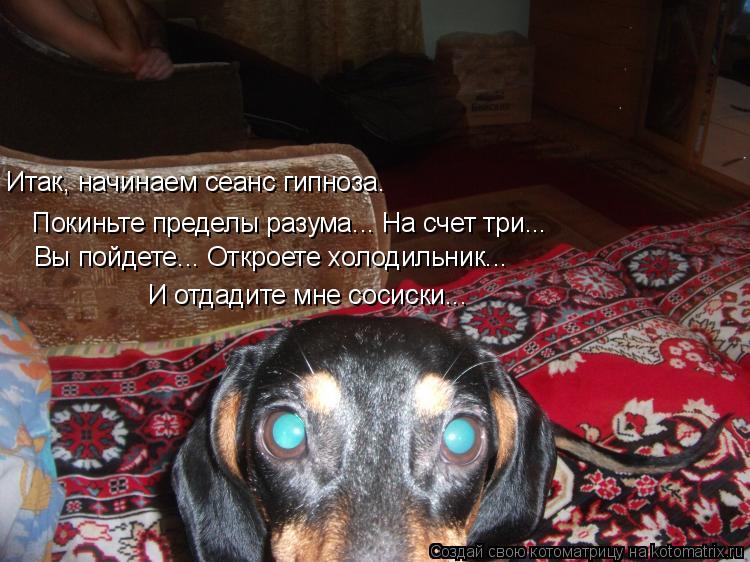 Итак, начинаем сеанс гипноза. Покиньте пределы разума... На счет три... Вы пойдете... Откроете холоди... Котоматрица: Итак, начинаем сеанс гипноза. Покиньте пределы разума... На счет три... Вы пойдете... Откроете холодильник... И отдадите мне сосиски...