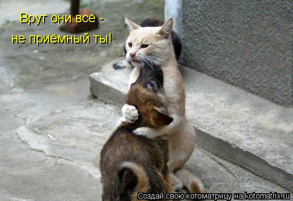 Врут они всё - не приёмный ты!... Котоматрица: Врут они всё - не приёмный ты!