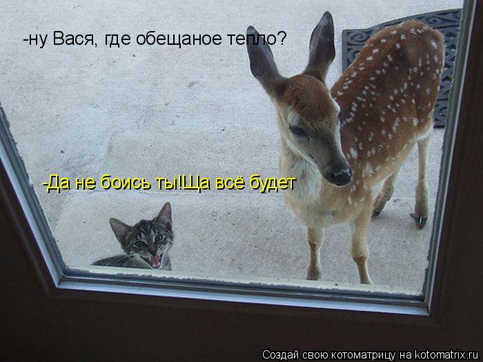 -ну Вася, где обещаное тепло? -Да не боись ты!Ща всё будет... Котоматрица: -ну Вася, где обещаное тепло? -Да не боись ты!Ща всё будет