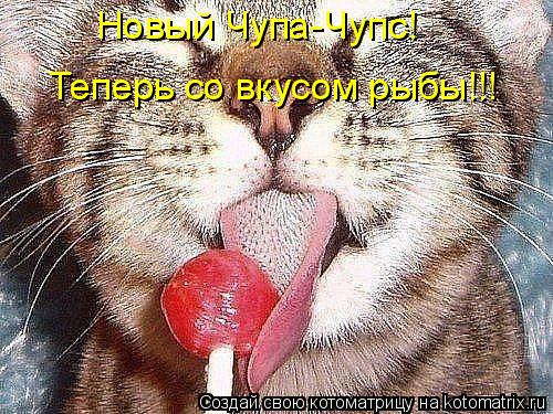 Теперь со вкусом рыбы!!! Новый Чупа-Чупс!... Котоматрица: Теперь со вкусом рыбы!!! Новый Чупа-Чупс!