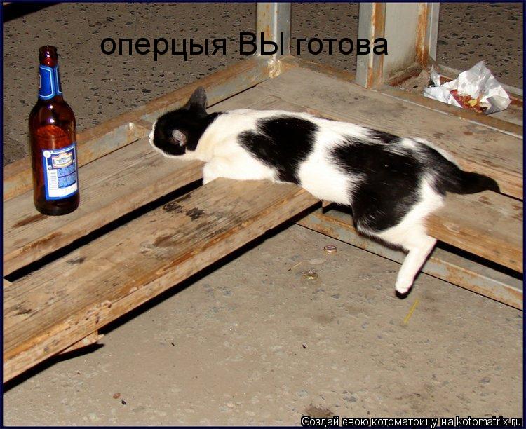 оперцыя ВЫ готова... Котоматрица: оперцыя ВЫ готова
