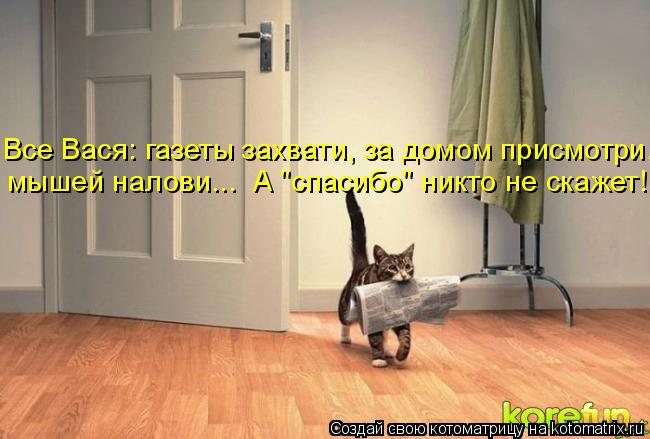 Все Вася: газеты захвати, за домом присмотри, мышей налови... А "спасибо" никто не скажет!... Котоматрица: Все Вася: газеты захвати, за домом присмотри, мышей налови... А "спасибо" никто не скажет!