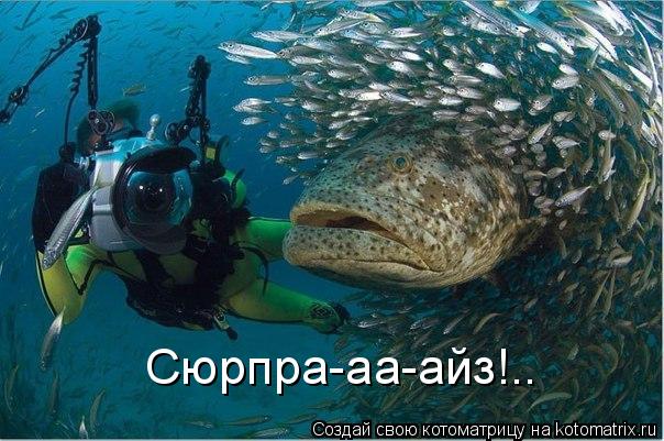 Сюрпра-аа-айз!..... Котоматрица: Сюрпра-аа-айз!..