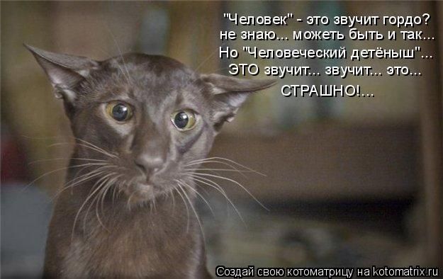 "Человек" - это звучит гордо? не знаю... можеть быть и так... Но "Человеческий детёныш"... ЭТО звучит... Котоматрица: "Человек" - это звучит гордо? не знаю... можеть быть и так... Но "Человеческий детёныш"... ЭТО звучит... звучит... это... СТРАШНО!...