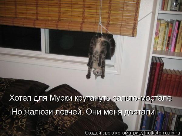 Хотел для Мурки крутануть сальто-мортале Но жалюзи ловчей. Они меня достали... Котоматрица: Хотел для Мурки крутануть сальто-мортале Но жалюзи ловчей. Они меня достали