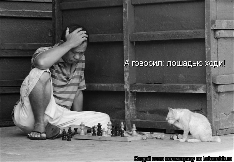 А говорил: лошадью ходи!... Котоматрица: А говорил: лошадью ходи!