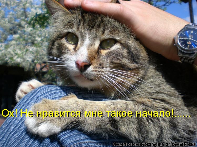Ох! Не нравится мне такое начало!......... Котоматрица: Ох! Не нравится мне такое начало!......