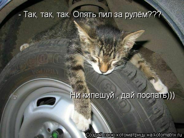 т - Так, так, так. Опять пил за рулём??? Ни кипешуй , дай поспать)))... Котоматрица: т - Так, так, так. Опять пил за рулём??? Ни кипешуй , дай поспать)))