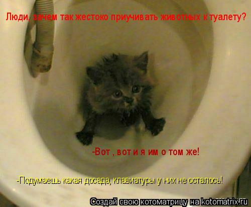 Люди, зачем так жестоко приучивать животных к туалету? -Вот , вот и я им о том же! -Подумаешь какая д... Котоматрица: Люди, зачем так жестоко приучивать животных к туалету? -Вот , вот и я им о том же! -Подумаешь какая досада, клавиатуры у них не осталось!