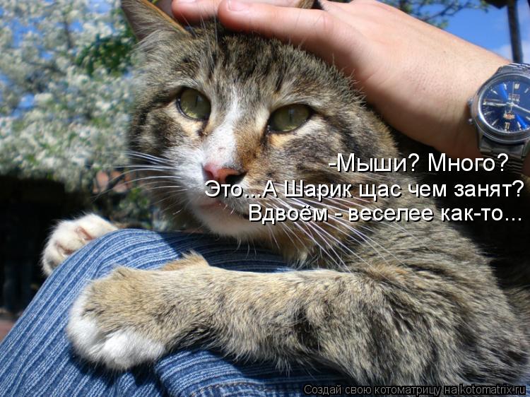 -Мыши? Много? Это...А Шарик щас чем занят? Вдвоём - веселее как-то...... Котоматрица: -Мыши? Много? Это...А Шарик щас чем занят? Вдвоём - веселее как-то...