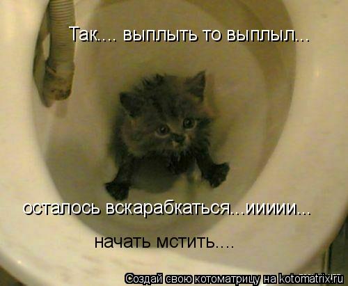 Так.... выплыть то выплыл... осталось вскарабкаться...иииии... начать мстить....... Котоматрица: Так.... выплыть то выплыл... осталось вскарабкаться...иииии... начать мстить....