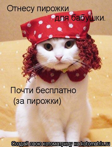 Отнесу пирожки для бабушки. Почти бесплатно (за пирожки)... Котоматрица: Отнесу пирожки для бабушки. Почти бесплатно (за пирожки)