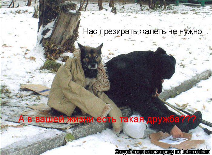 Нас презирать,жалеть не нужно... А в вашей жизни есть такая дружба???... Котоматрица: Нас презирать,жалеть не нужно... А в вашей жизни есть такая дружба???