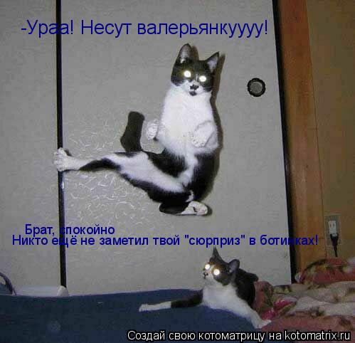 -Ураа! Несут валерьянкуууу! Брат, спокойно Никто ещё не заметил твой "сюрприз" в ботинках!... Котоматрица: -Ураа! Несут валерьянкуууу! Брат, спокойно Никто ещё не заметил твой "сюрприз" в ботинках!