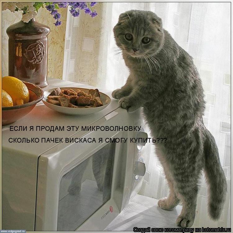 ЕСЛИ Я ПРОДАМ ЭТУ МИКРОВОЛНОВКУ СКОЛЬКО ПАЧЕК ВИСКАСА Я СМОГУ КУПИТЬ???... Котоматрица: ЕСЛИ Я ПРОДАМ ЭТУ МИКРОВОЛНОВКУ СКОЛЬКО ПАЧЕК ВИСКАСА Я СМОГУ КУПИТЬ???