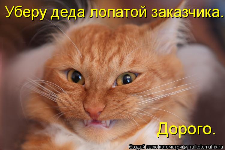 Уберу деда лопатой заказчика. Дорого.... Котоматрица: Уберу деда лопатой заказчика. Дорого.