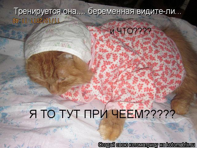 Тренируется она.... беременная видите-ли... и ЧТО???? Я ТО ТУТ ПРИ ЧЕЕМ?????... Котоматрица: Тренируется она.... беременная видите-ли... и ЧТО???? Я ТО ТУТ ПРИ ЧЕЕМ?????