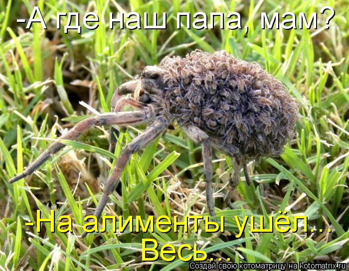 -А где наш папа, мам? -На алименты ушёл... Весь...... Котоматрица: -А где наш папа, мам? -На алименты ушёл... Весь...