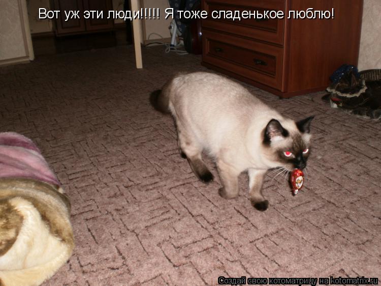 Вот уж эти люди!!!!! Я тоже сладенькое люблю!... Котоматрица: Вот уж эти люди!!!!! Я тоже сладенькое люблю!