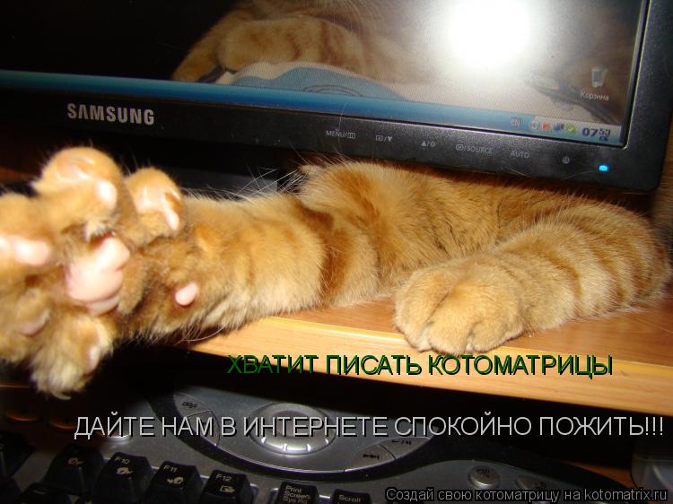 ХВАТИТ ПИСАТЬ КОТОМАТРИЦЫ ДАЙТЕ НАМ В ИНТЕРНЕТЕ СПОКОЙНО ПОЖИТЬ!!!... Котоматрица: ХВАТИТ ПИСАТЬ КОТОМАТРИЦЫ ДАЙТЕ НАМ В ИНТЕРНЕТЕ СПОКОЙНО ПОЖИТЬ!!!