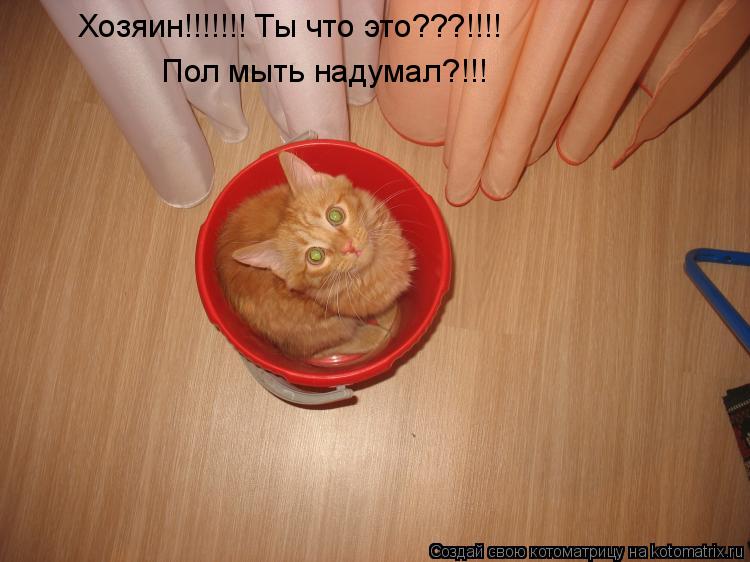 Хозяин!!!!!!! Ты что это???!!!! Пол мыть надумал?!!!... Котоматрица: Хозяин!!!!!!! Ты что это???!!!! Пол мыть надумал?!!!