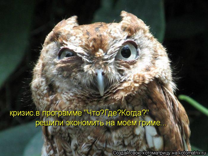 кризис.в программе "Что?Где?Когда?" решили экономить на моём гриме...... Котоматрица: кризис.в программе "Что?Где?Когда?" решили экономить на моём гриме...