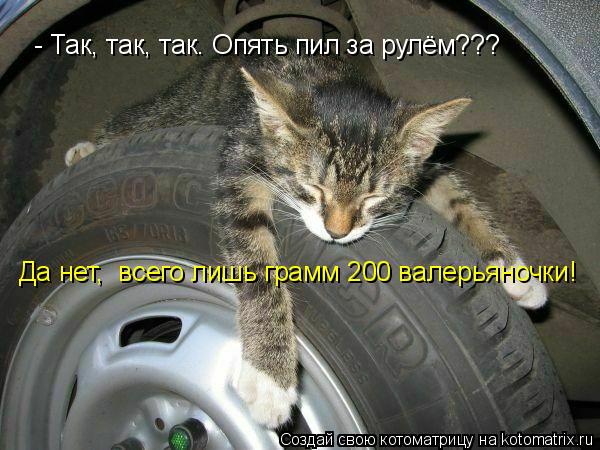 - Так, так, так. Опять пил за рулём??? Да нет, всего лишь грамм 200 валерьяночки!... Котоматрица: - Так, так, так. Опять пил за рулём??? Да нет, всего лишь грамм 200 валерьяночки!