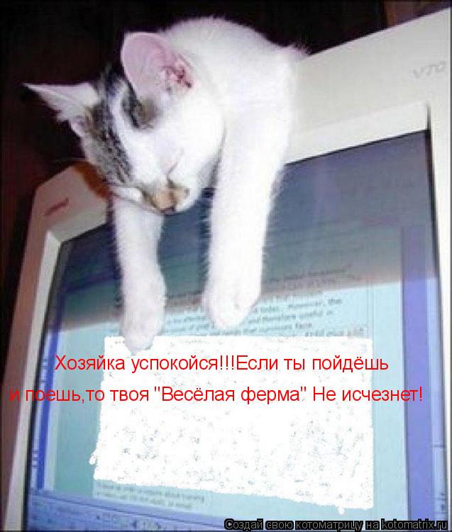 Хозяйка успокойся!!!Если ты пойдёшь и поешь,то твоя "Весёлая ферма" Не исчезнет!... Котоматрица: Хозяйка успокойся!!!Если ты пойдёшь и поешь,то твоя "Весёлая ферма" Не исчезнет!