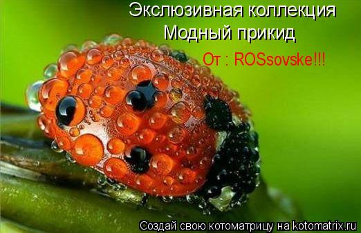 Экслюзивная коллекция Модный прикид От : ROSsovske!!!... Котоматрица: Экслюзивная коллекция Модный прикид От : ROSsovske!!!