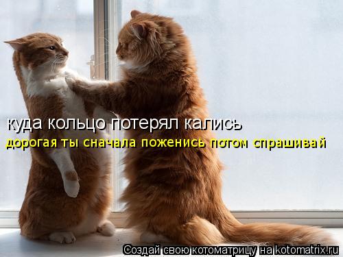 куда кольцо потерял кались дорогая ты сначала поженись потом спрашивай... Котоматрица: куда кольцо потерял кались дорогая ты сначала поженись потом спрашивай