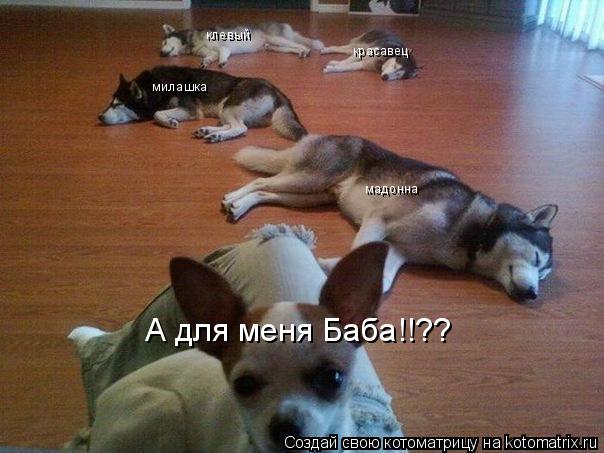 клевый красавец милашка мадонна А для меня Баба!!??... Котоматрица: клевый красавец милашка мадонна А для меня Баба!!??