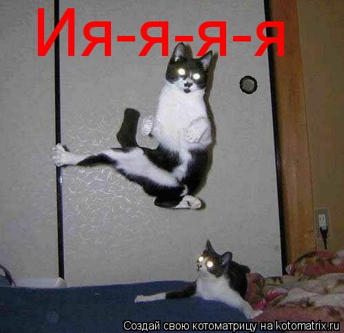 Ия-я-я-я... Котоматрица: Ия-я-я-я