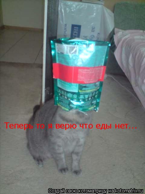 Теперь то я верю что еды нет...... Котоматрица: Теперь то я верю что еды нет...
